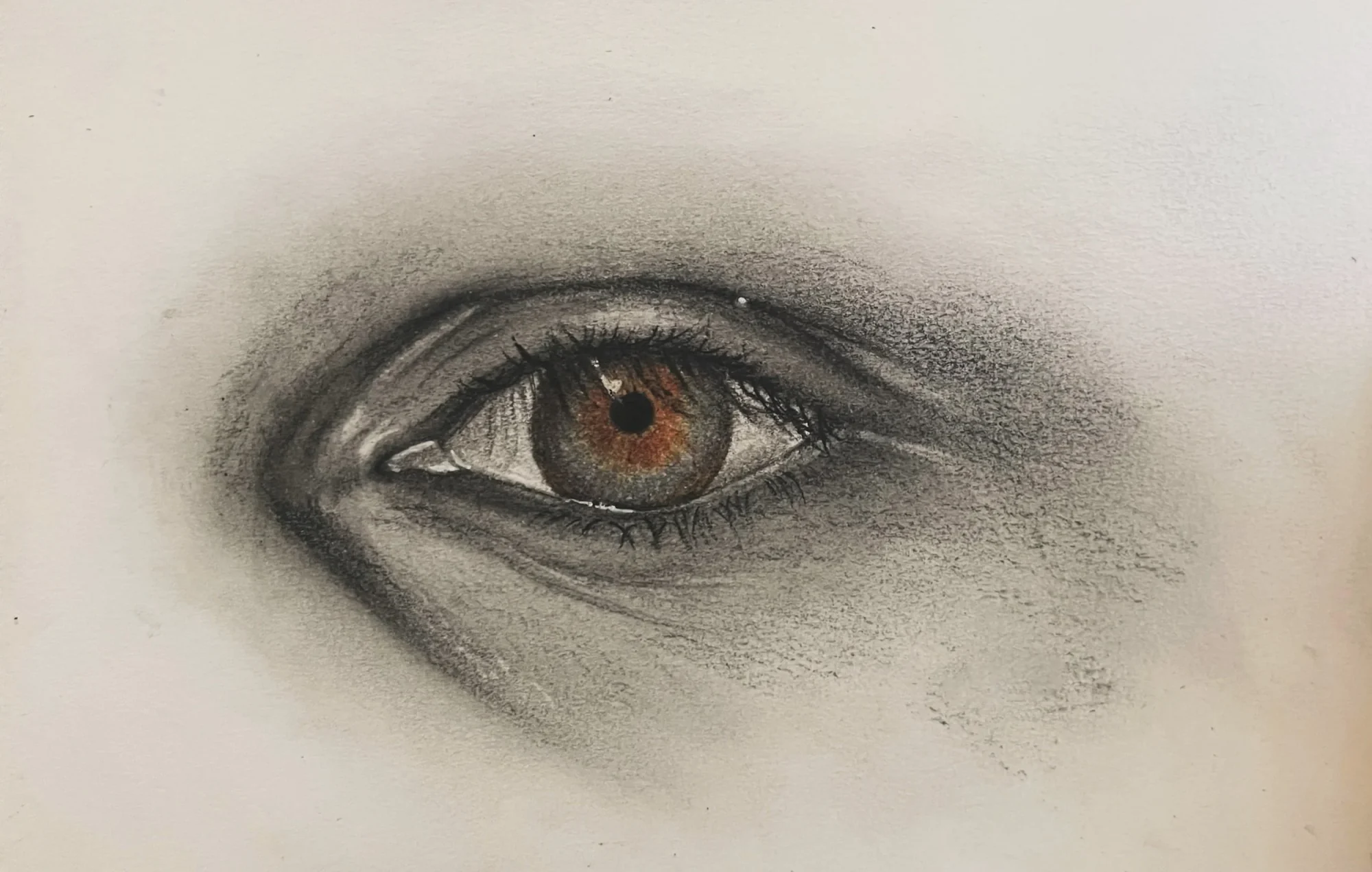 Charcoal and graphite drawing of a single eye, the iris rendered in warm amber against otherwise achromatic tone.
