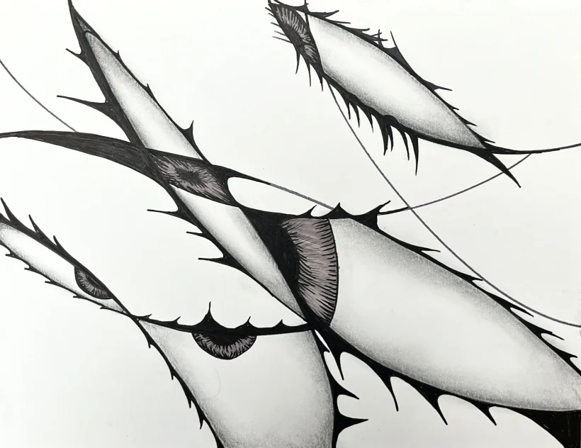 Graphite study of pointed pod-like forms, drawn with sharp contour and smooth interior tone.